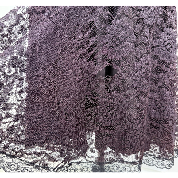Vintage Lace Dress Size 9/10 Whimsigoth Regency Dark Romantic Moody Prom Formal - Picture 9 of 14